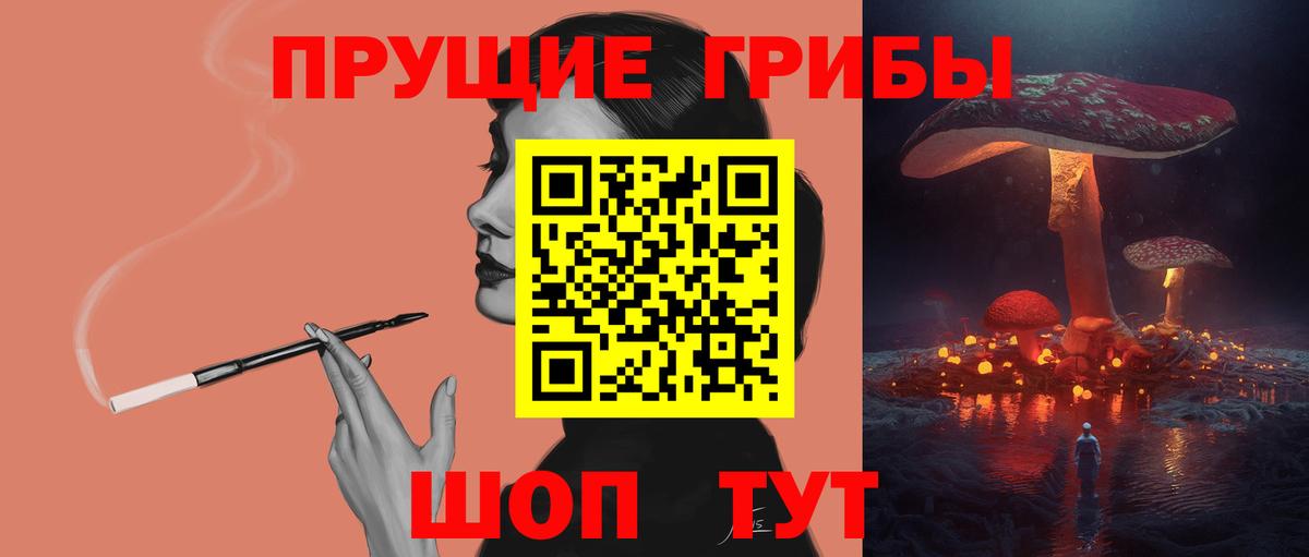 Междуреченск  Псилоцибиновые грибы Psilocybine cubensis  Вход с VPN 